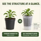 Shape & Use Self Watering Pots for Indoor Plants, Clear Plant Pots with Drainage and Deep Reservoir, 9 Pack Self Watering Planter Set, 3 Sizes 4.72", 5.91", 7.09" - Image 6