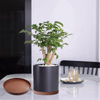 Yukfona Ceramic Plant Saucer Tray 2 Pcs 8 Inch Brown, 8.5" OD x8.15 ID x1 Deep| Fits Flower pots Bottom≤ 8.15", Heavy Duty Glazed Round Planter Drip with Catch Basin for Indoor Outdoor Plants - Image 4