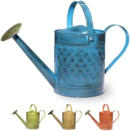 Robert Allen Home & Garden MPT01503 Robert Allen MPT011503 Wexley Metal, 2 Gallon, Mountain Waves 5 Gallon Watering can, 2 gal by RobertAllen