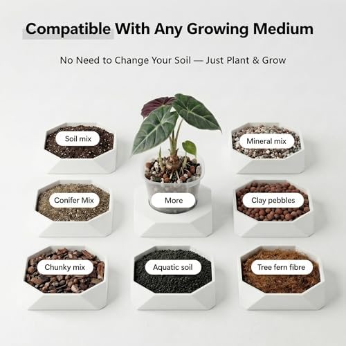 10 Pack 4" Self Watering Small White Plant Pots for Indoor Plants, Clear Inner Cup, Water Level Indicator, Drainage Holes & Wick, for Cuttings, Seedlings, Herb, African Violet, Hoya, Begonia - Image 6