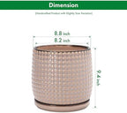 D'vine Dev Beaded Ceramic Pot with Saucer, 8 in, Light Brown, 27-C-Q-4 - Image 3