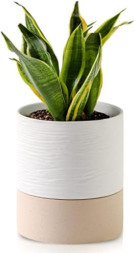 Nihow Ceramic Self Watering Plant Pot for Indoor Plants,6 Inch,White by Nihow