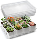 RooTrimmer Clear Seed Starter Trays 5 Pack(17"x11"x2"), Reusable Plastic Carrying Seedling & Nursery Trays, Durable Flat Pots Trays, Transparent Square Tray for Planting and Collecting Drainage Water by RooTrimmer