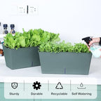 Window Box Planter 6 Pcs, 16.5 Inches Self Watering Rectangle Flower Plant Pots with Drainage Holes Trays, Vegetable Planters for Windowsill Patio Garden Balcony Porch Yard (Dark Green) - Image 3