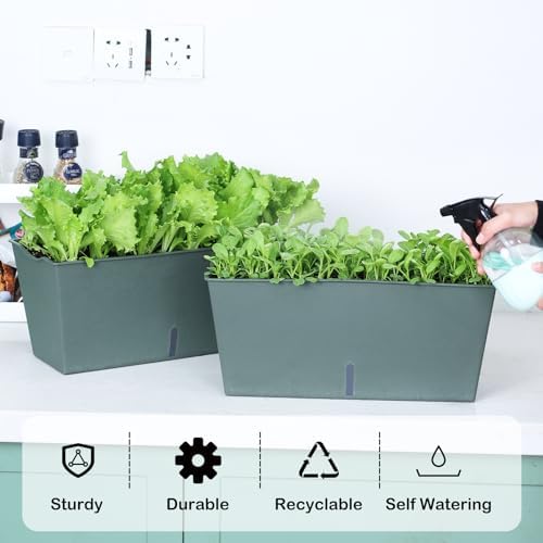 Window Box Planter 6 Pcs, 16.5 Inches Self Watering Rectangle Flower Plant Pots with Drainage Holes Trays, Vegetable Planters for Windowsill Patio Garden Balcony Porch Yard (Dark Green) - Image 3