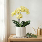 Orchid Pot,Ceramic Plant Pot with Clear Orchid Pot,6 inch,White - Image 6