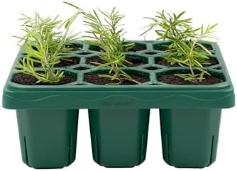 Vego garden Giga Seedling Trays - 2 Pack, 9-Cell UV-Resistant Reusable Starter Trays for Greenhouse/Garden (No Lids) by Unknown