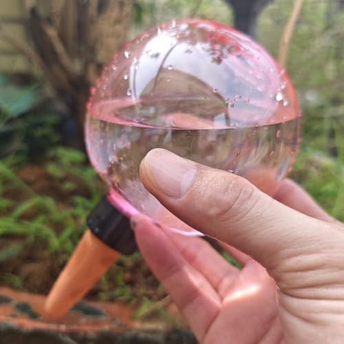 Automatic Plant Watering Globes 500ML Top Fill Drip Irrigation (Pink, 1pc) - Image 4