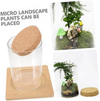 Cabilock Moss Eco Bottle Plant Propagation Terrarium Glass Succulent Jar Micro Landscape Container Watering Globes - Image 4