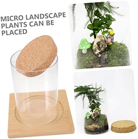 Cabilock Moss Eco Bottle Plant Propagation Terrarium Glass Succulent Jar Micro Landscape Container Watering Globes - Image 4