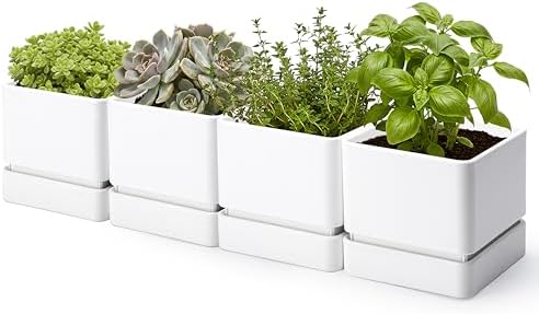 D'vine Dev 4-Pack Plastic Herb Planter Pots, 6 in, White, 76-Y-A4-2 by DvineDevPlanterPotsandStand