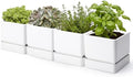 D'vine Dev 4-Pack Plastic Herb Planter Pots, 6 in, White, 76-Y-A4-2 by DvineDevPlanterPotsandStand