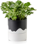 Nihow Ceramic Self Watering Plant Pot for Indoor Plants,6 Inch,Black White by Nihow