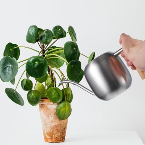 Silver Watering Can 1.2l with Wooden Handle, Stainless Steel - Image 6