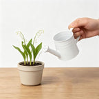 1L Retro Metal Painted Watering Can with Long Spout & Handle - Image 5