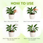 Plant Watering Globes Top Fill Self Watering Globes Set - Image 6