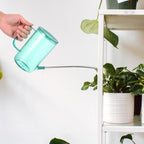 Stainless Steel Watering Cans Long Spout 2 Pack for Garden - Image 7