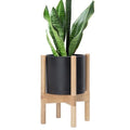 D'vine Dev Plastic Pot with Natural Wood Stand, Black, 8 in, 55-C-J-2 by DvineDevPlanterPotsandStand
