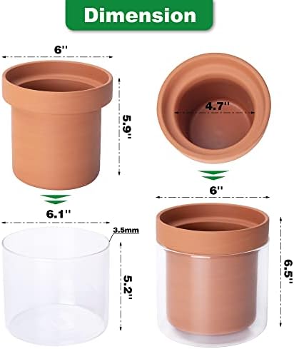 Phoenix Vine 6 Inch Self Watering Planter Pot, Terracotta Clay Pot with Glass Reservoir for Indoor Plants, Herbs, Flowers, Set of 2, 52-A-F-2 - Image 4