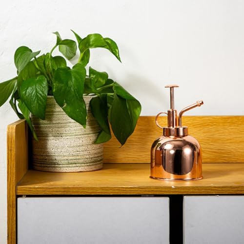 300ml Plant Mister Watering Bottle Stainless Steel Vintage with Pump - Image 5