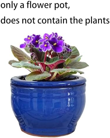 African Violet Pots Self Watering Blue 6 inch - Image 6