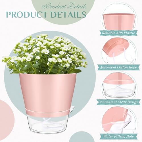 Funnymoom 12 Pack 6 Inch Self Watering Plant Pots Self Watering Planters with with Visual Reservoir and Drainage Hole Plastic Flower Pots for Indoor Plants African Violets Flowers - Image 3