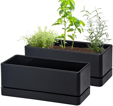 D'vine Dev 2-Pack Rectangular Planters, 12 x 4.5 in, Black, 76-X-B-2 by DvineDevPlanterPotsandStand