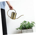 Garden Watering Pot 2000ml Stainless Steel Long Spout for Home - Image 2