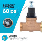 Cash Acme EB45 Pressure Regulating Valve, Single Union, 3/4 Inch NPT Female x NPT Female, Poly Top, 60 PSI, PVA16P-SUTH-60 - Image 3