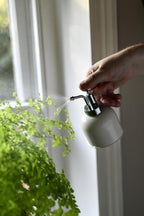 Burgon & Ball Indoor Plant Mister, Stone - Image 4