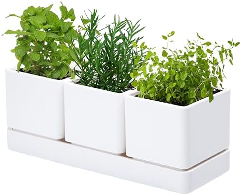 D'vine Dev Plastic Herb Garden Planter Set, White, 76-V-A-1 by DvineDevPlanterPotsandStand