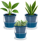 D'vine Dev Self-Watering Blue Terracotta Planter, 4 in, 3-Pack, 37-Z-A-4-T by DvineDevPlanterPotsandStand