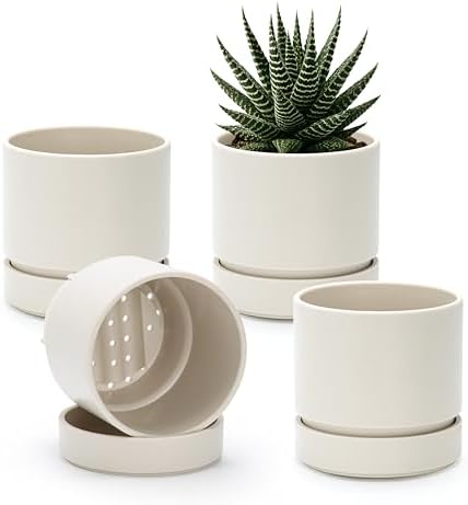 Phoenix Vine 4 Inch Planter Pot with Drainage Hole & Saucer, Deep Water Catch Tray, Straight Cylindrical Round Pot for Plants, Oatmeal, Pack of 4, 23-E-R-4 by Phoenix+Vine