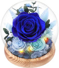 Casaido Preserved Roses Flowers for Delivery, Mothers Day Rose Gifts for Her, Blue Forever Flores in Glass Dome for Women Mom Wife Girlfriend, Anniversary Birthday Rose for Vanlentines Day Christmas by Casaido