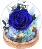 Casaido Preserved Roses Flowers for Delivery, Mothers Day Rose Gifts for Her, Blue Forever Flores in Glass Dome for Women Mom Wife Girlfriend, Anniversary Birthday Rose for Vanlentines Day Christmas by Casaido