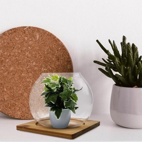 Milisten Glass Micro Landscape Bottle Wood Base for Bedroom Hotel - Image 7