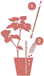 IPPINKA Sustee Aquameter, Set of 4, Plant Soil Moisture Sensor, (Green, Large) - Image 3