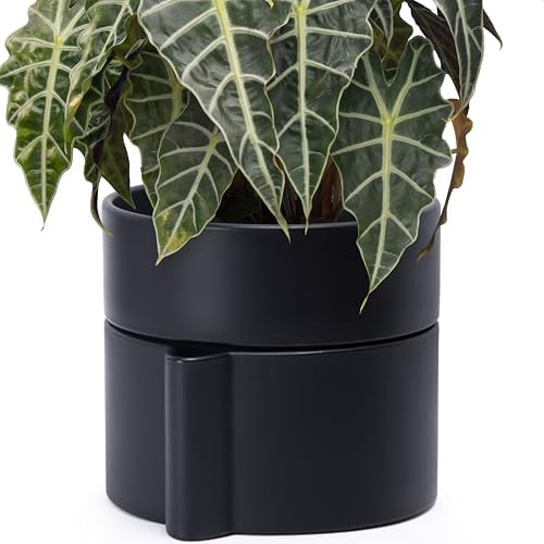 Phoenix Vine 8 Inch Self-Watering Planter Pot with Terracotta Insert, Deep Water Reservoir, and Ceramic-Alike BPA-Free Plastic Planter Pot for Plant, Modern Planter for Houseplants, Black, 53-A-T-2 by Phoenix+Vine