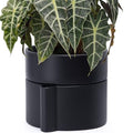 Phoenix Vine 8 Inch Self-Watering Planter Pot with Terracotta Insert, Deep Water Reservoir, and Ceramic-Alike BPA-Free Plastic Planter Pot for Plant, Modern Planter for Houseplants, Black, 53-A-T-2 by Phoenix+Vine