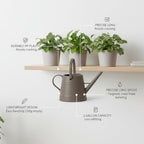 1 Gallon Plastic Watering Can with Long Spout for Indoor Plants, Balcony & Herb Gardens - Durable PP Pot Waterer - Image 5
