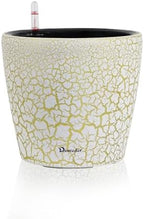 Dexceder 9x8 Self Watering Planter (White Gold Crackle) by Dexceder