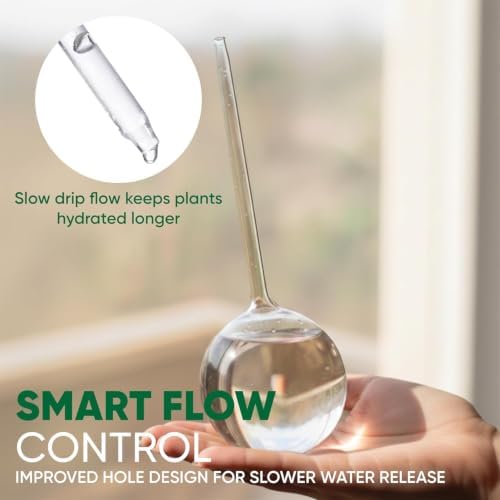 Clear Plant Watering Globes Set of 6 - Large Self Watering Globes for Indoor & Outdoor Plants - Automatic, Glass Watering Bulbs for Daily Use, Plant Watering Devices - Image 4