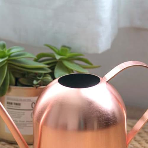 Watering Can with Long Spout Stainless Steel 1000ml for Flowers - Image 2