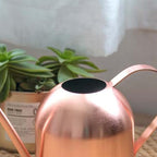 Ml Stainless Steel Watering Can with Long Mouth, Ergonomic Handle - Image 4