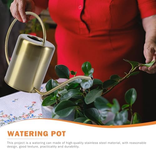 Stainless Steel Garden Watering Pot 2000ml with Long Spout - Image 4