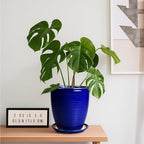 Round Ceramic Planter - Modern 8 Inch Plant Pot with Drainage Hole and Tray for Flower Indoor Outdoor Garden Decor Blue - Image 4