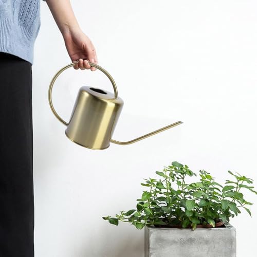 Brass Gooseneck Watering Can – 1.5L/2L Stainless - Image 2