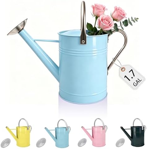 1.7 Gallon Metal Watering Can with Removable Spout, Durable Galvanized Steel Water Can for Indoor Outdoor Garden Plants (Blue) by LONGRUNHOME