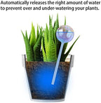[6 PCS] Light Iridescent Rainbow Gradient Color Clear Glass Self-Watering System Spikes, Automatic Plant Waterer Bulbs - Image 3