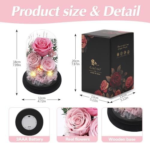 Casaido Preserved Roses Flowers for Delivery, Mothers Day Rose Gifts for Her, Pink Forever Flores in Glass Dome for Women Mom Wife Grandma, Anniversary Birthday Rose for Vanlentines Day Christmas - Image 6